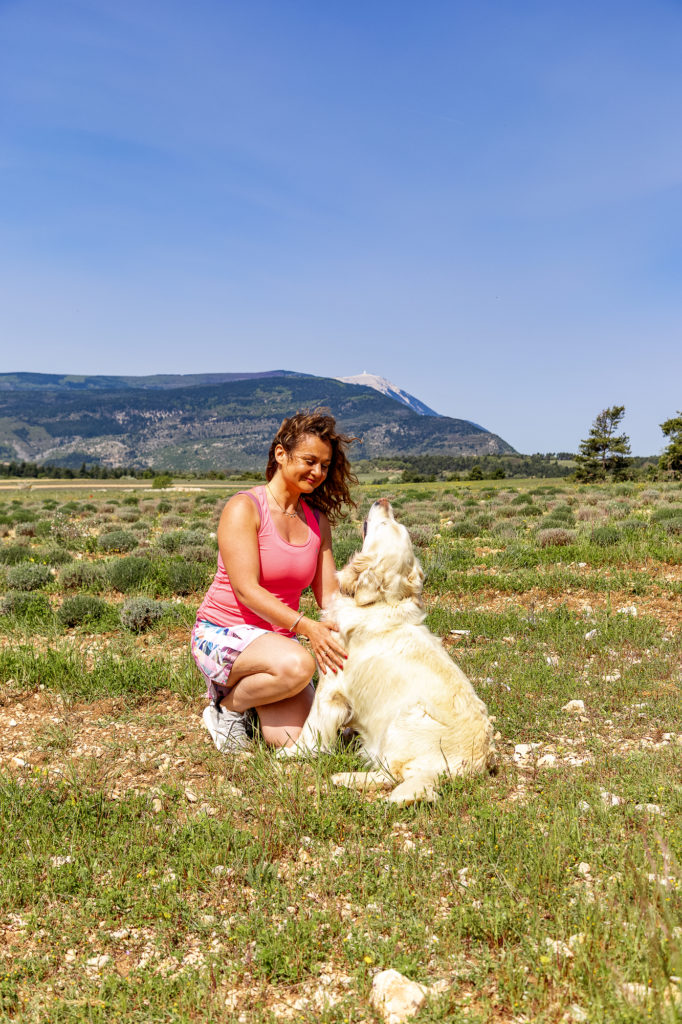 Bonheur de partir en vacances avec mon chien au village des Lavandes à Montbrun-les-Bains
