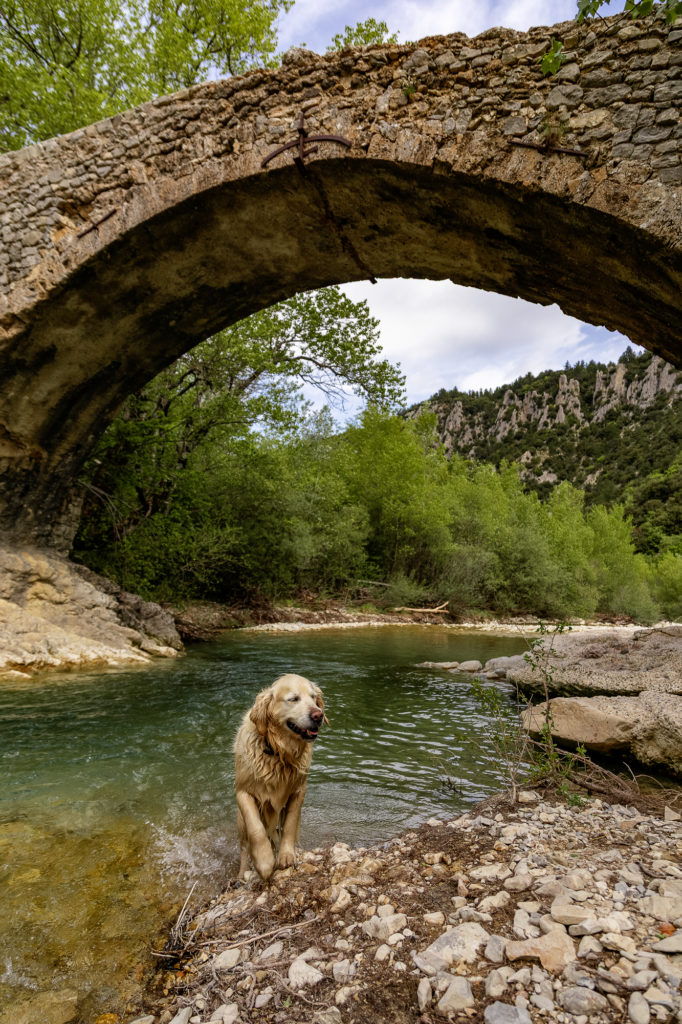 pont roman brantes
