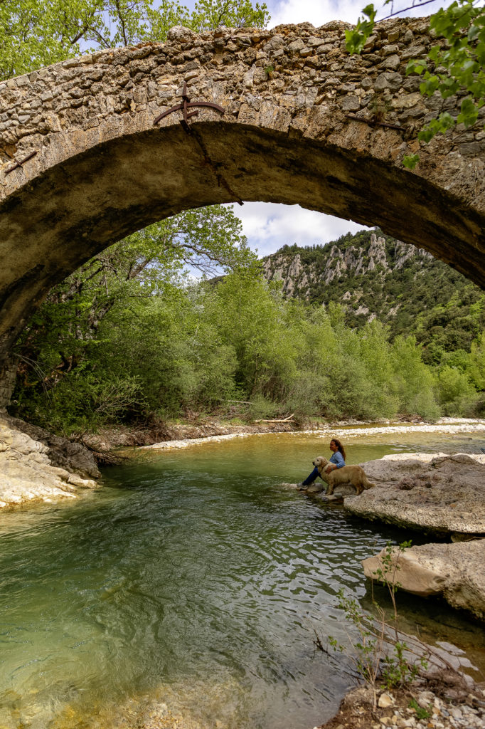 pont roman brantes
