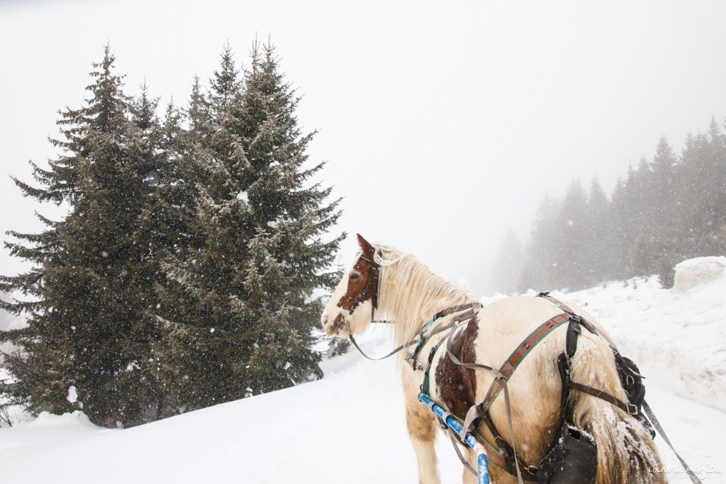 L'hiver à Morzine : ski et bonnes adresses. Que faire à Morzine ? Que voir à Morzine. Morzine ski et outdoor