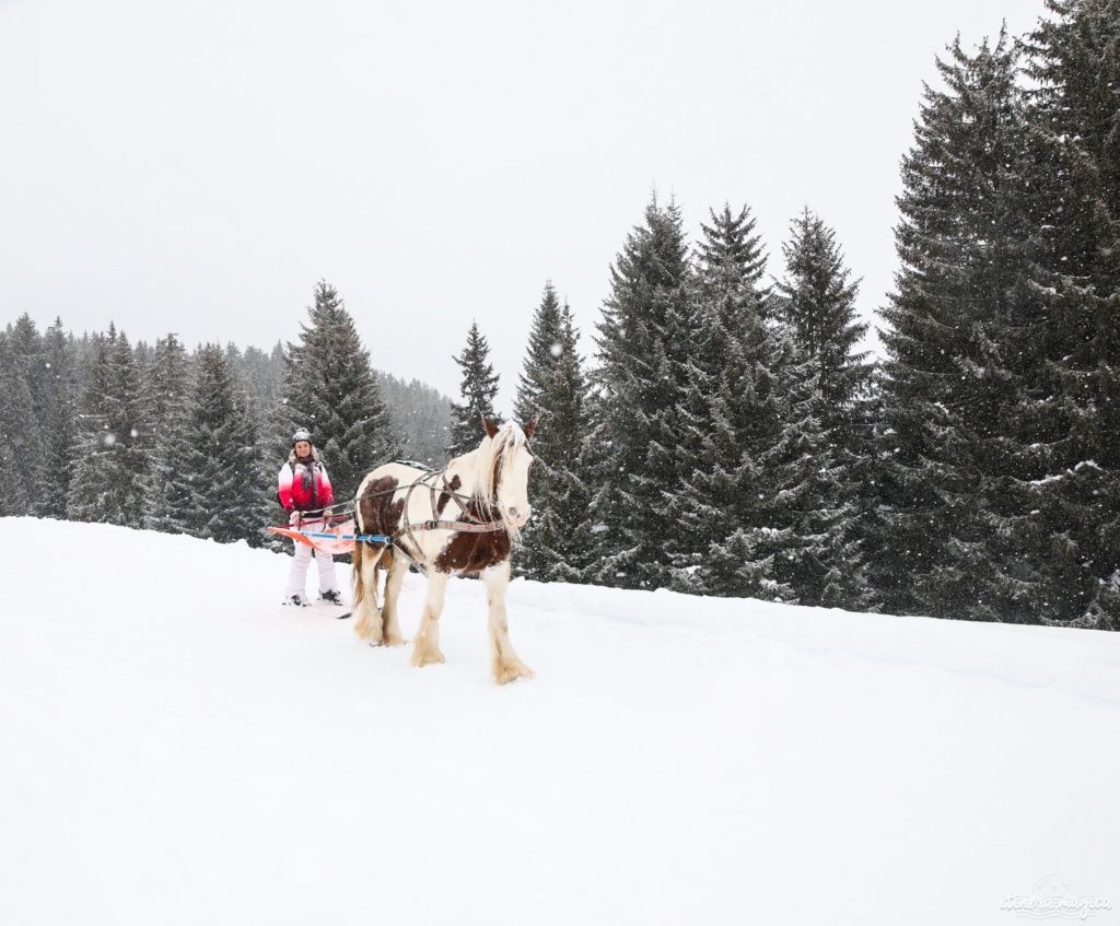 stations de ski familiales dans les montagnes françaises