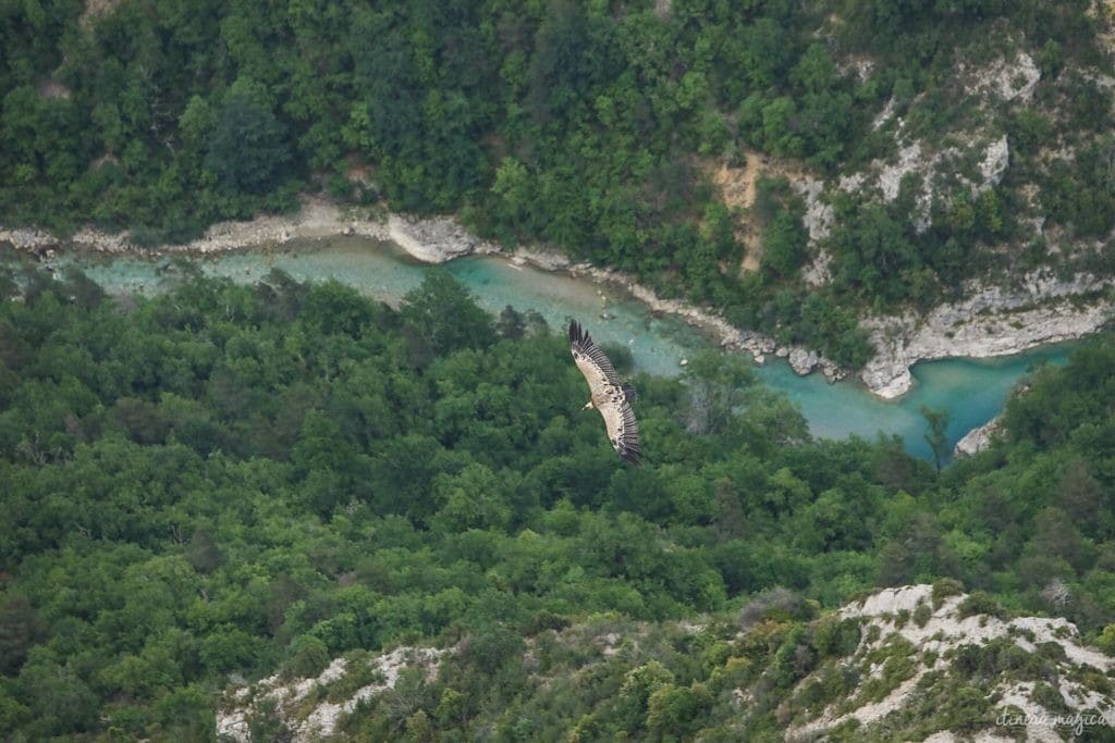 route des crêtes du verdon