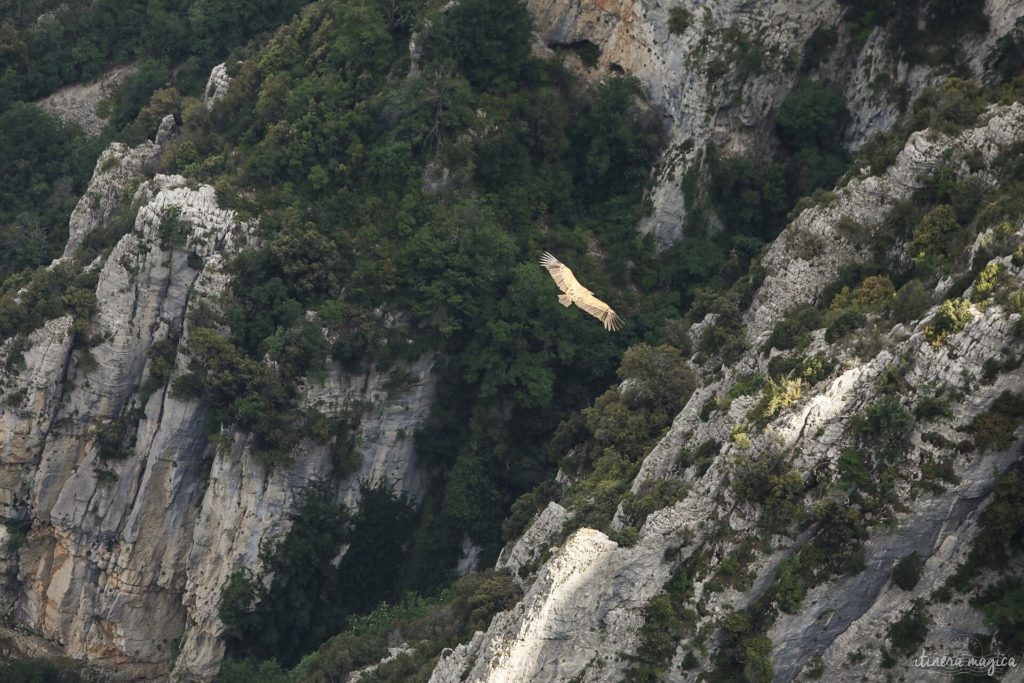 route des crêtes du verdon