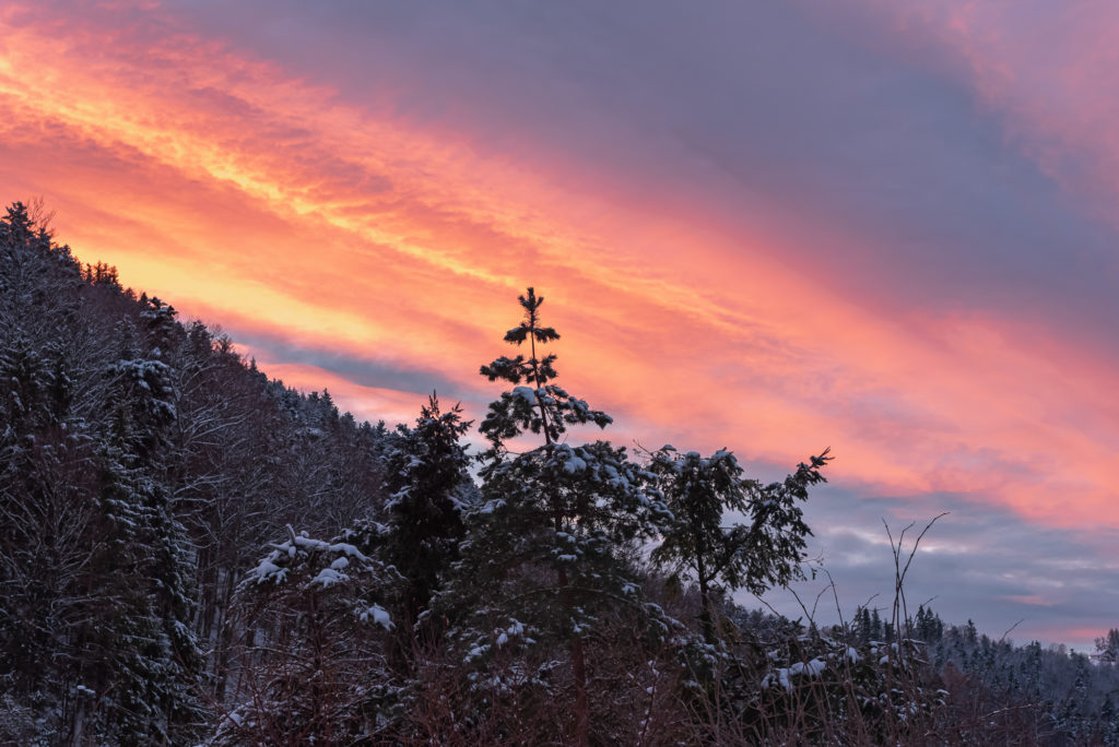 bonnes adresses sud alsace noël vosges