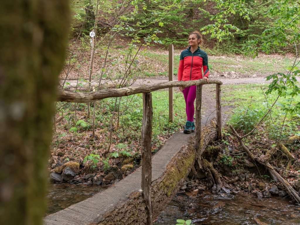 Que faire en Ardenne belge ? Randonnées à pied, à cheval et en VTT dans la grande forêt de Saint Hubert, visites et idées pour s'oxygéner.