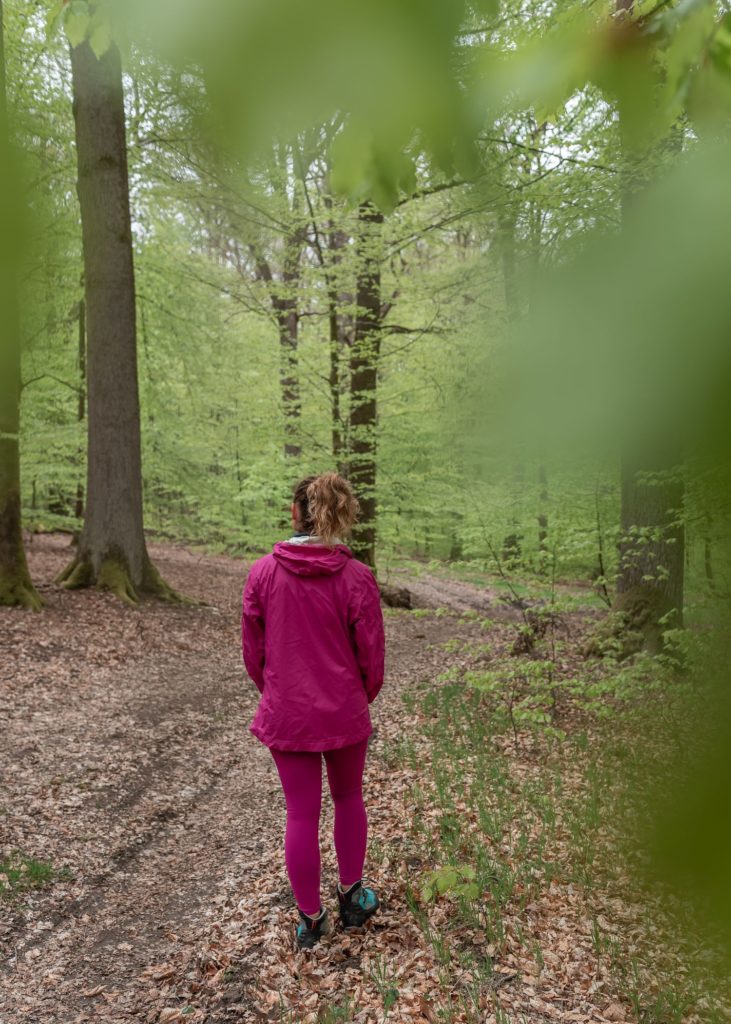 Que faire en Ardenne belge ? Randonnées à pied, à cheval et en VTT dans la grande forêt de Saint Hubert, visites et idées pour s'oxygéner.