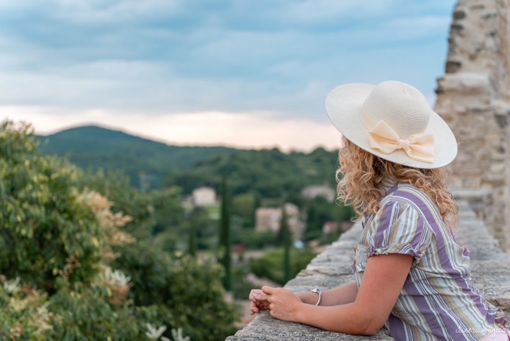 Die Ölbaum-Route in der Provence: entdecken Sie eine geheime, untouristische Provence, im Herzen des Naturparks der Baronnies provençales.