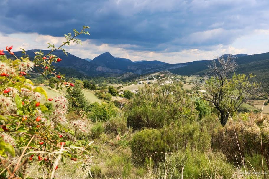 Forteresse minérale, coeur de la Provence secrète, le massif du Verdon et son lac de Sainte-Croix turquoise offrent des paysages naturels d'exception.