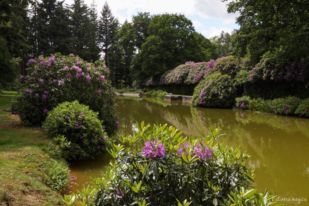 Un week-end en Normandie : découvrez l'Orne. Que voir dans l'Orne ? Blog sur l'Orne.