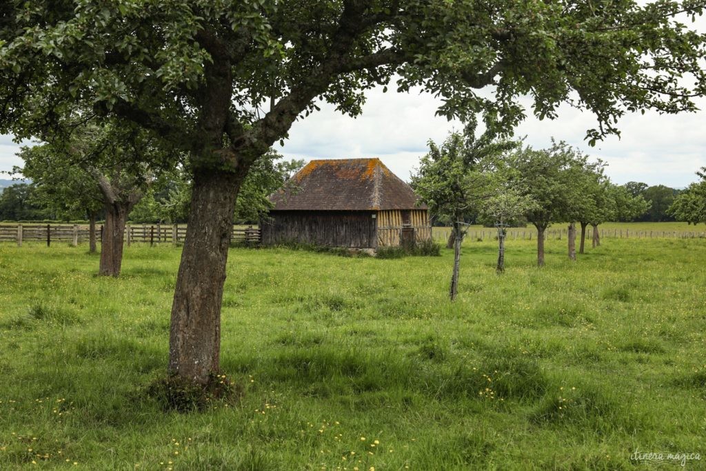 orne week end en normandie que voir dans l'orne (42)
