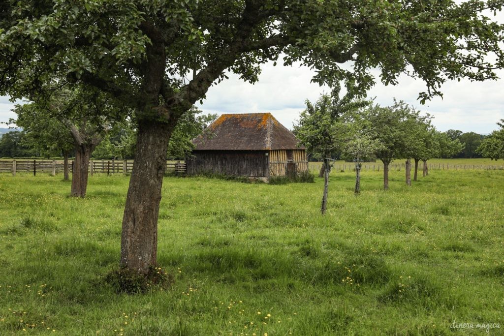 orne week end en normandie que voir dans l'orne (42)