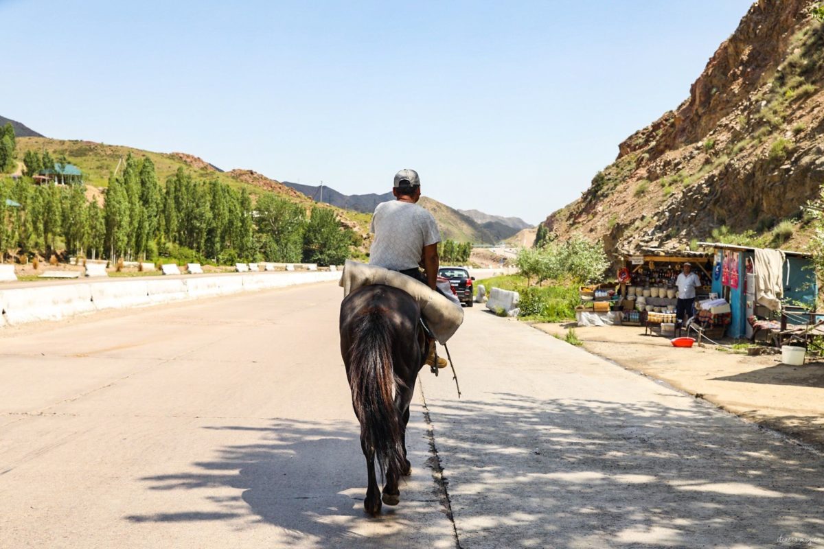 Partons pour un grand voyage en Ouzbékistan. De Samarcande à Boukhara en passant par la steppe, voici un itinéraire de rêve pour découvrir les incontournables d'Ouzbékistan.