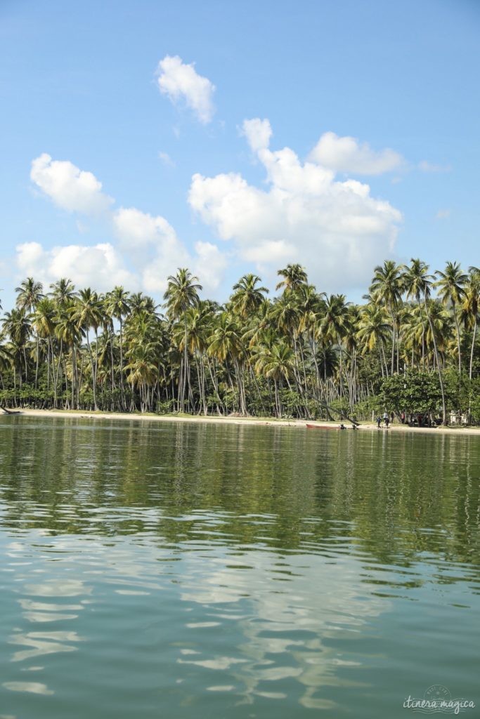 Road trip en République dominicaine : que voir et que faire en République dominicaine ?     .