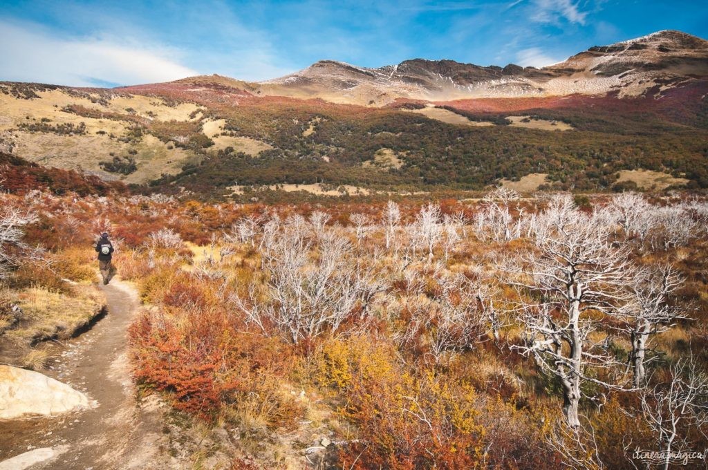 Où voir les couleurs d'automne, en Europe, au Japon, au Québec et ailleurs ? Les plus belles couleurs de l'automne par les blogueurs de voyage, pour des voyages chatoyants. #automne 