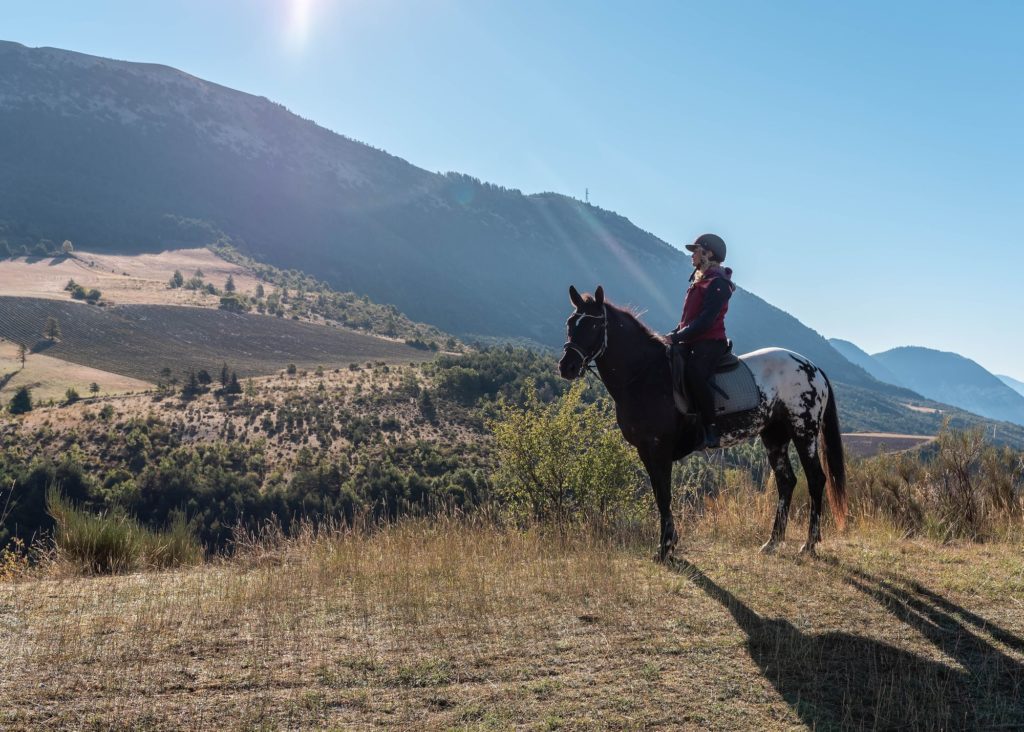 Les Alpes de Haute Provence à cheval : 3 jours de randonnée équestre dans la région de Digne-les-Bains, au coeur des Alpes du Sud