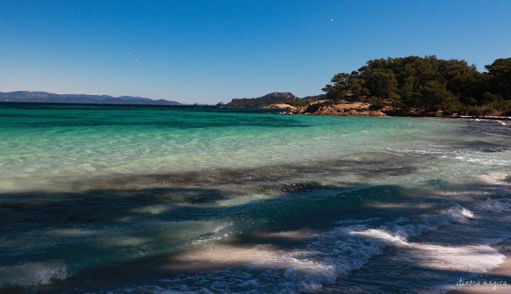 Porquerolles, la plus grande des îles d'Hyères, enchante par ses plages paradisiaques et ses paysages d'île au trésor. Voyage sur la côte d'Azur sauvage. I Itinera Magica