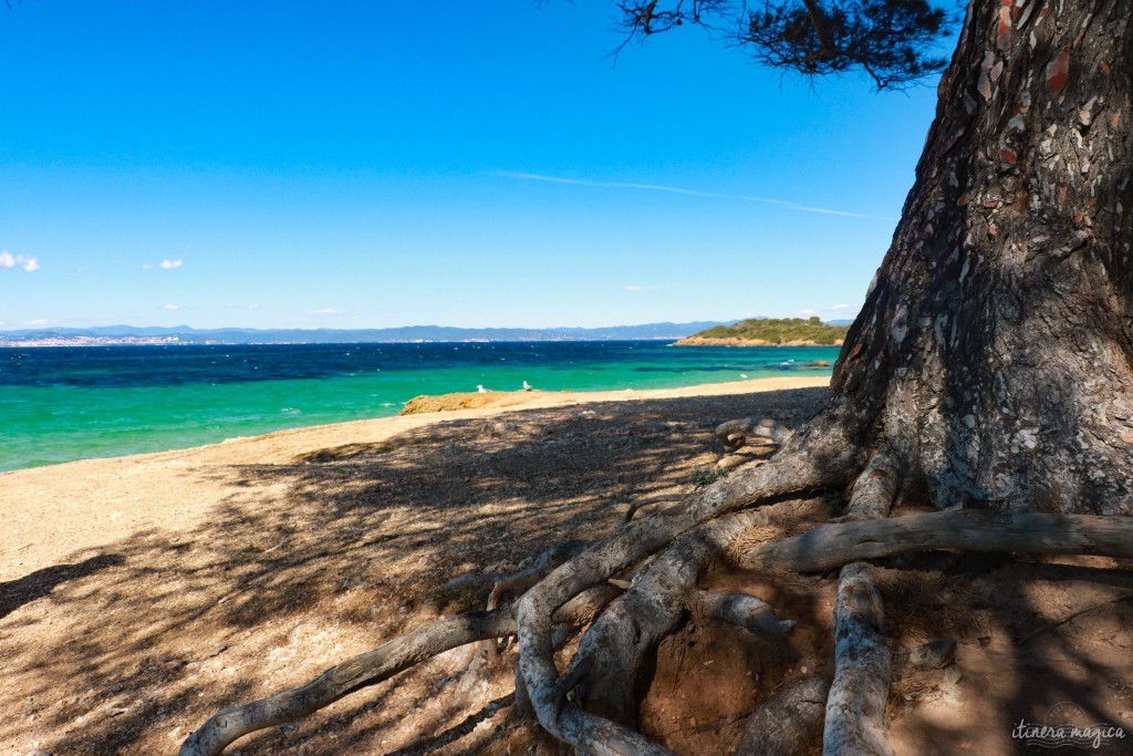 Porquerolles, la plus grande des îles d'Hyères, enchante par ses plages paradisiaques et ses paysages d'île au trésor. Voyage sur la côte d'Azur sauvage. I Itinera Magica