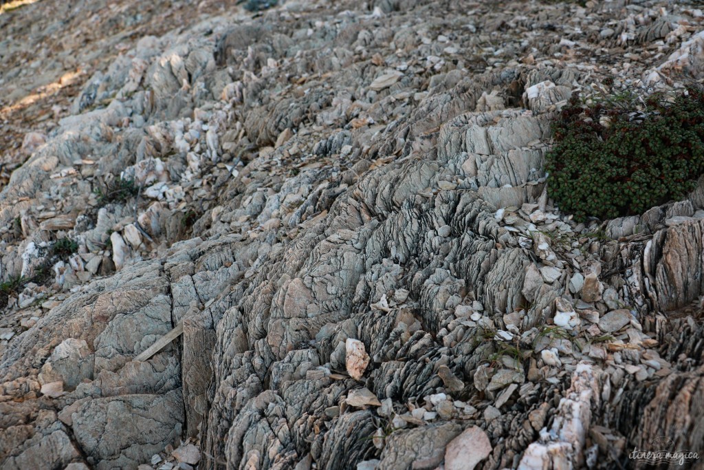 Sédiments sur le sol rocheux de l'île.