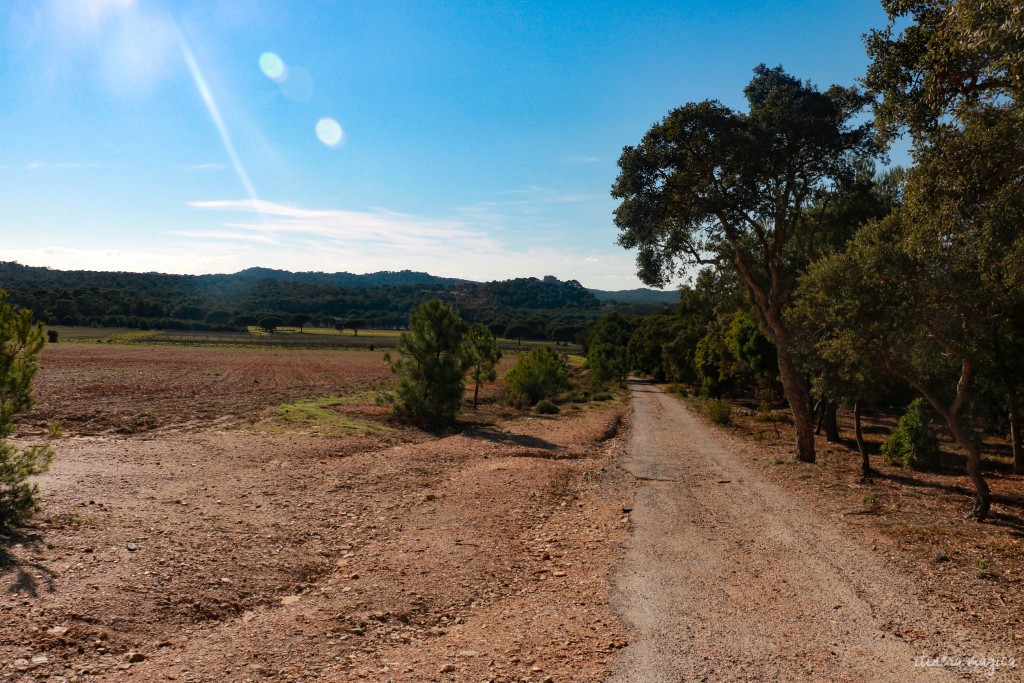 Chemins de fin d'après midi.