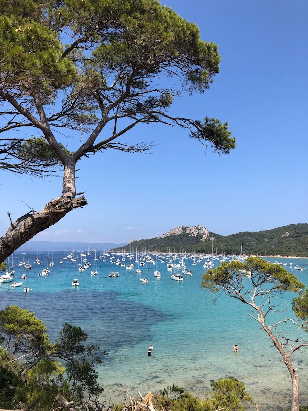 plus beaux endroits cote d'azur porquerolles