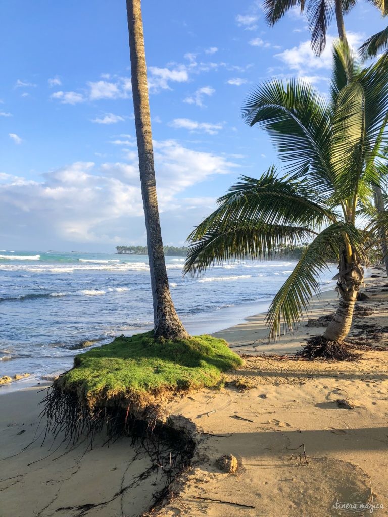 Road trip en République dominicaine : que voir et que faire en République dominicaine ?     Et l'offre hôtelière est de très grande qualité. Ici le V Samana, un des plus beaux hôtels de ma vie