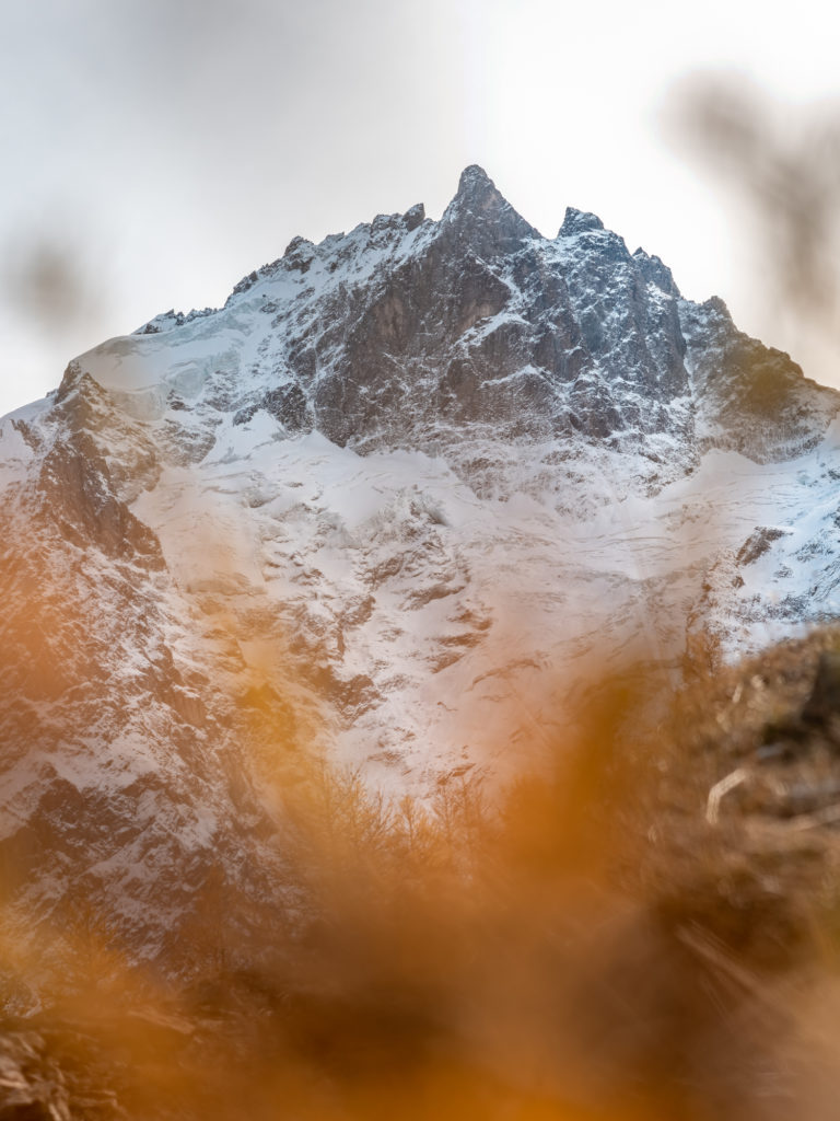 Fascination Meije : récits de randonnées autour de la Meije et d'une ascension de la Meije orientale en alpinisme. 