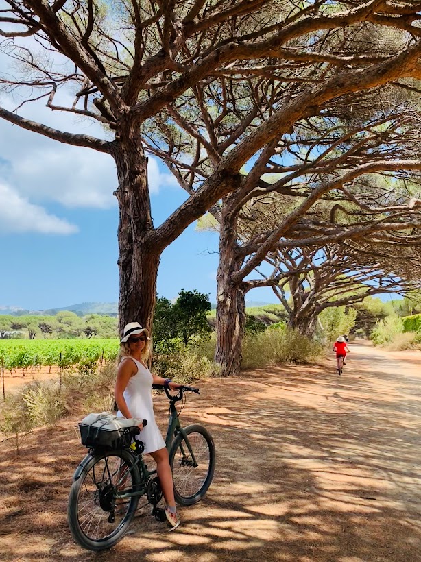 plus beaux endroits cote d'azur porquerolles