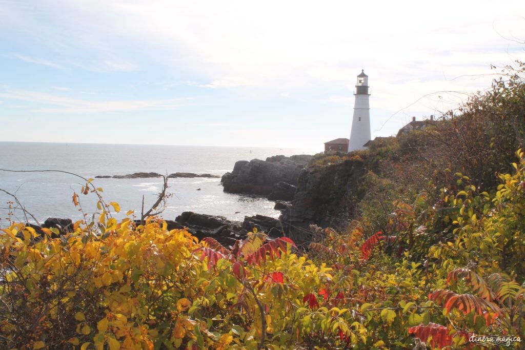 Où voir les couleurs d'automne, en Europe, au Japon, au Québec et ailleurs ? Les plus belles couleurs de l'automne par les blogueurs de voyage, pour des voyages chatoyants. #automne 