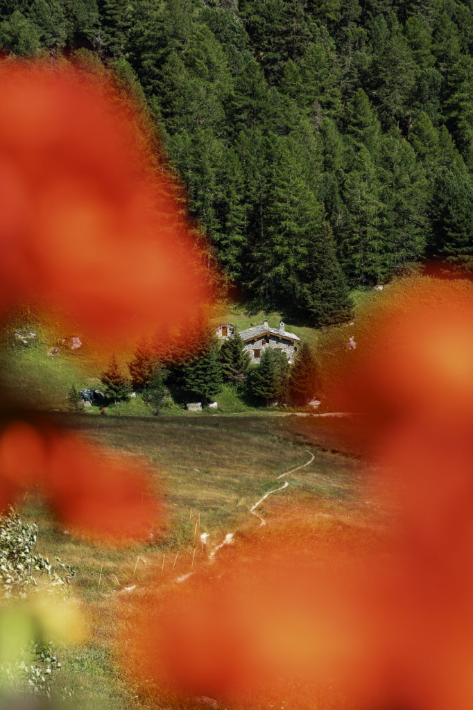 tour des glaciers de la vanoise randonnée au départ de pralognan
