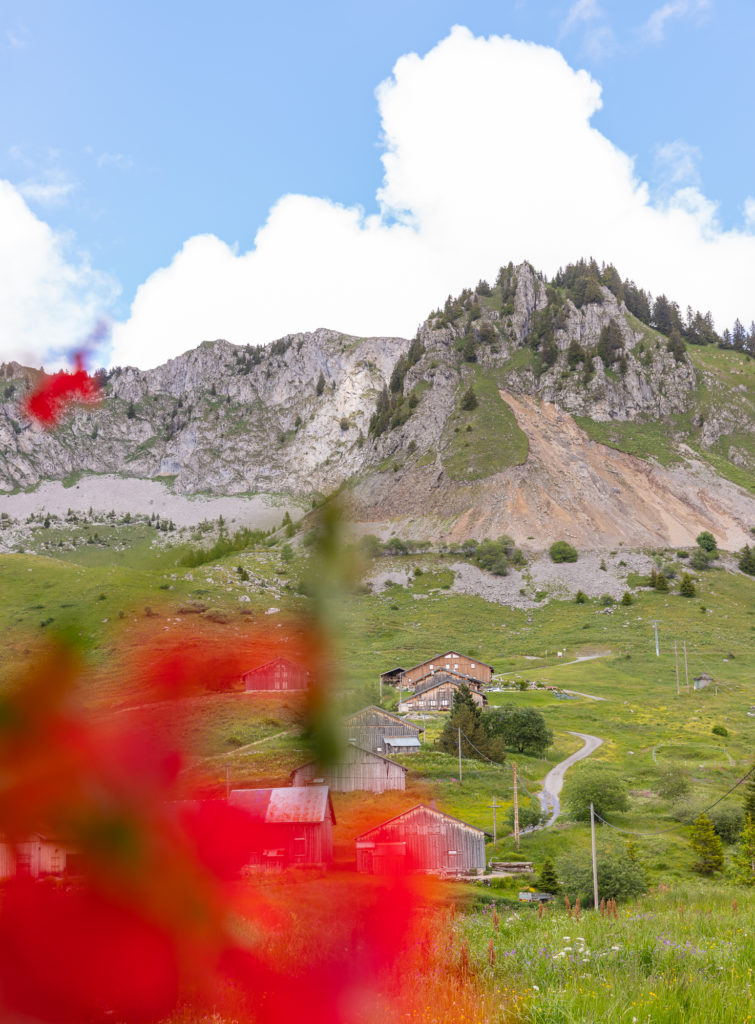 que faire à praz de lys sommand en haute savoie