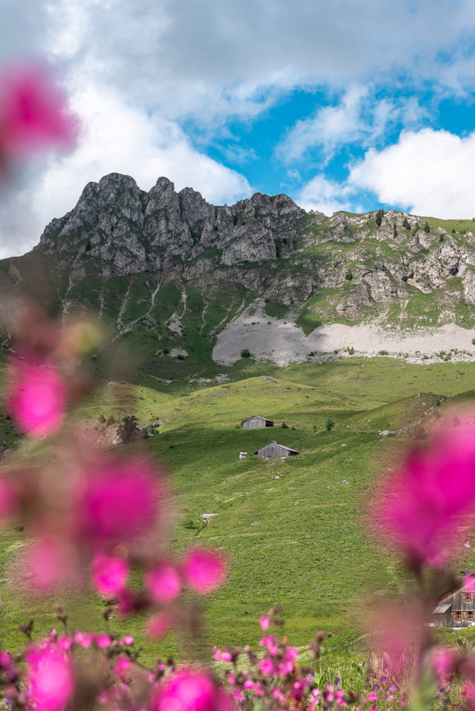 que faire à praz de lys sommand en haute savoie