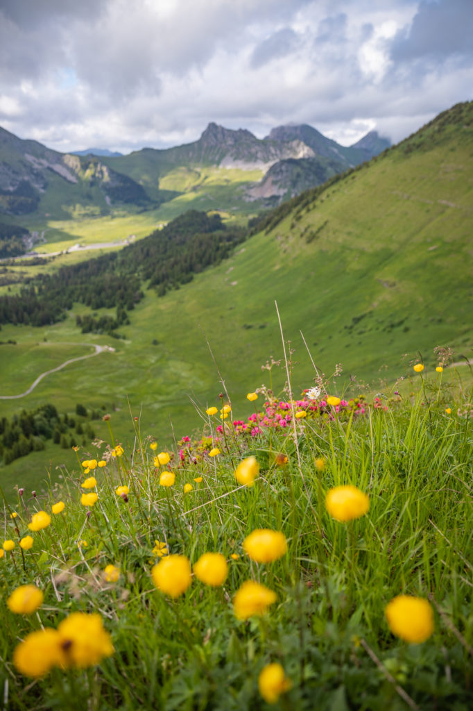 randonnée sur les crêtes du pic de marcelly à praz de lys sommand