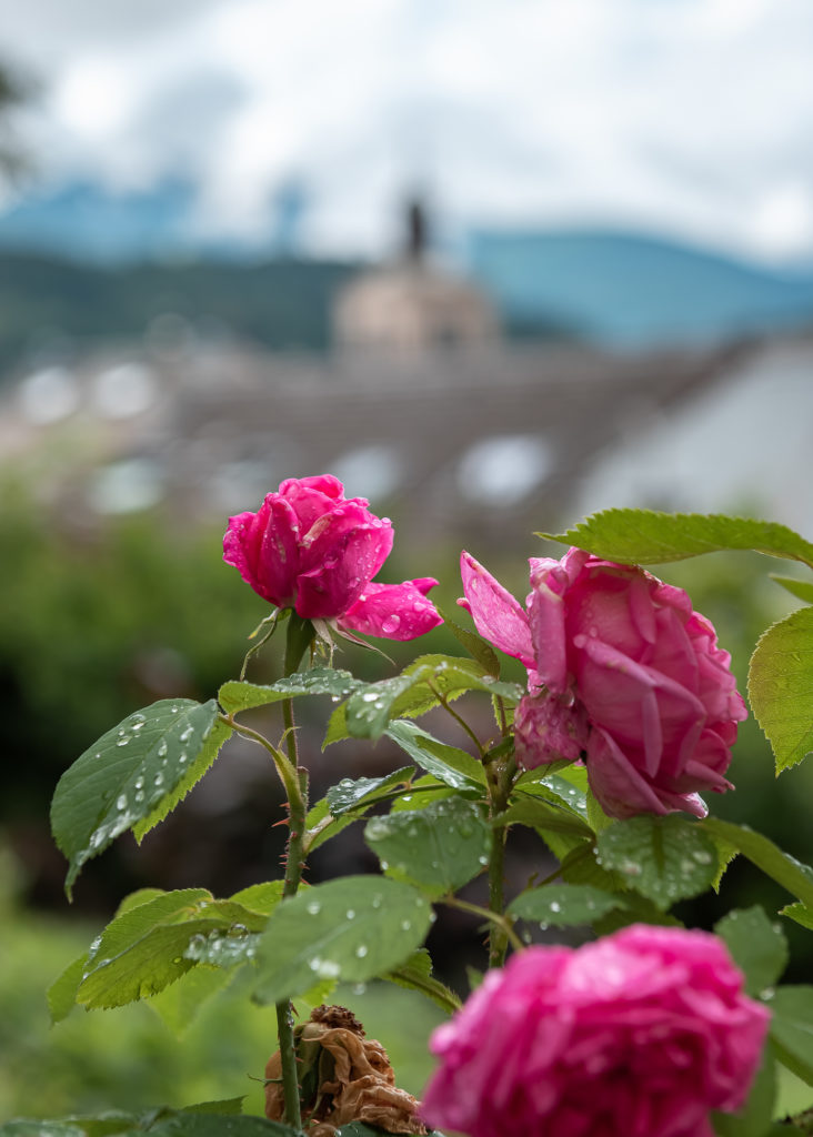 que voir et que faire à praz de lys sommand en haute savoie ?