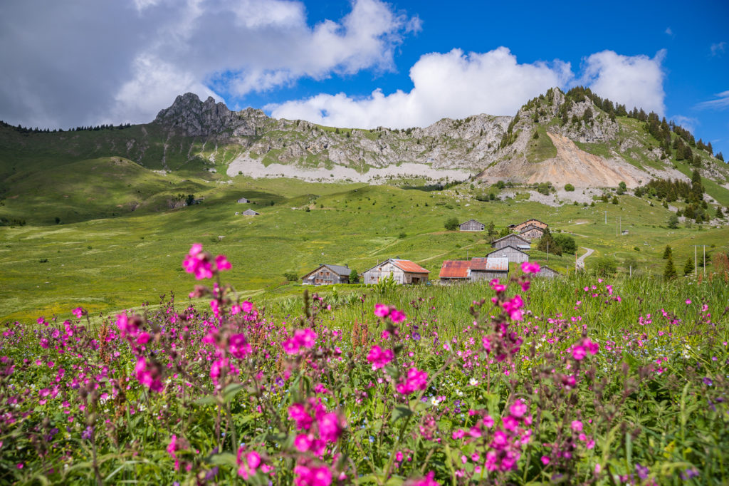 que faire à praz de lys sommand en haute savoie