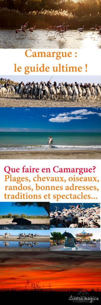 Que faire en Camargue ? Balades à cheval, bonnes adresses, incontournables, retrouvez tout sur le Camargue.