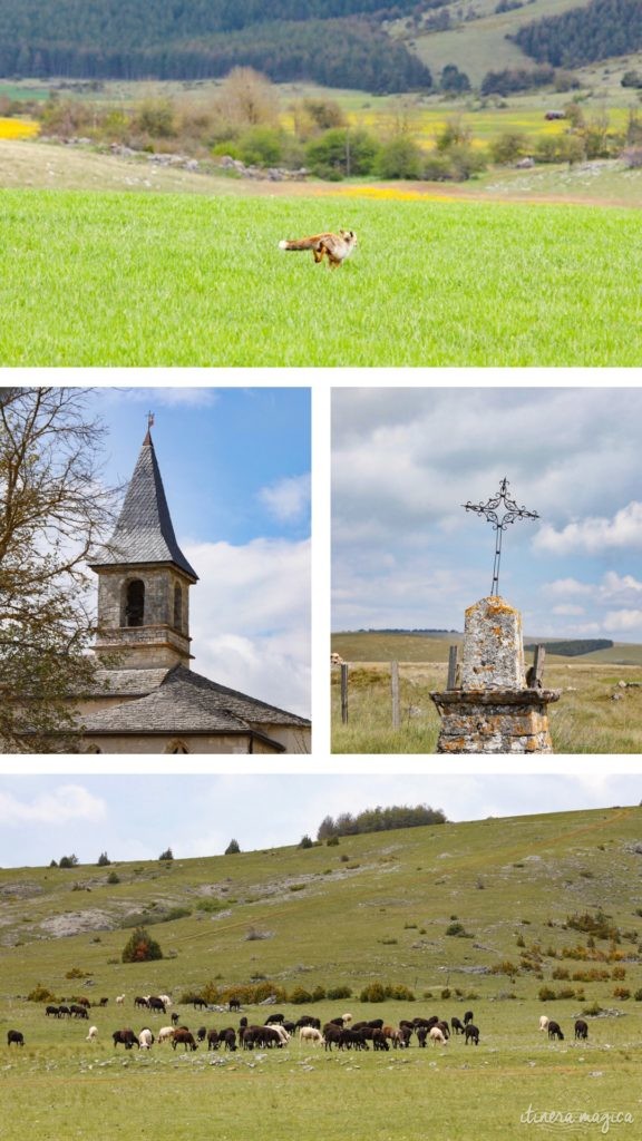 Que faire en Lozère ? Lozère tourisme