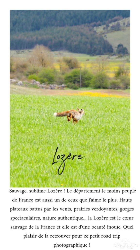 Que faire en Lozère ? Lozère tourisme