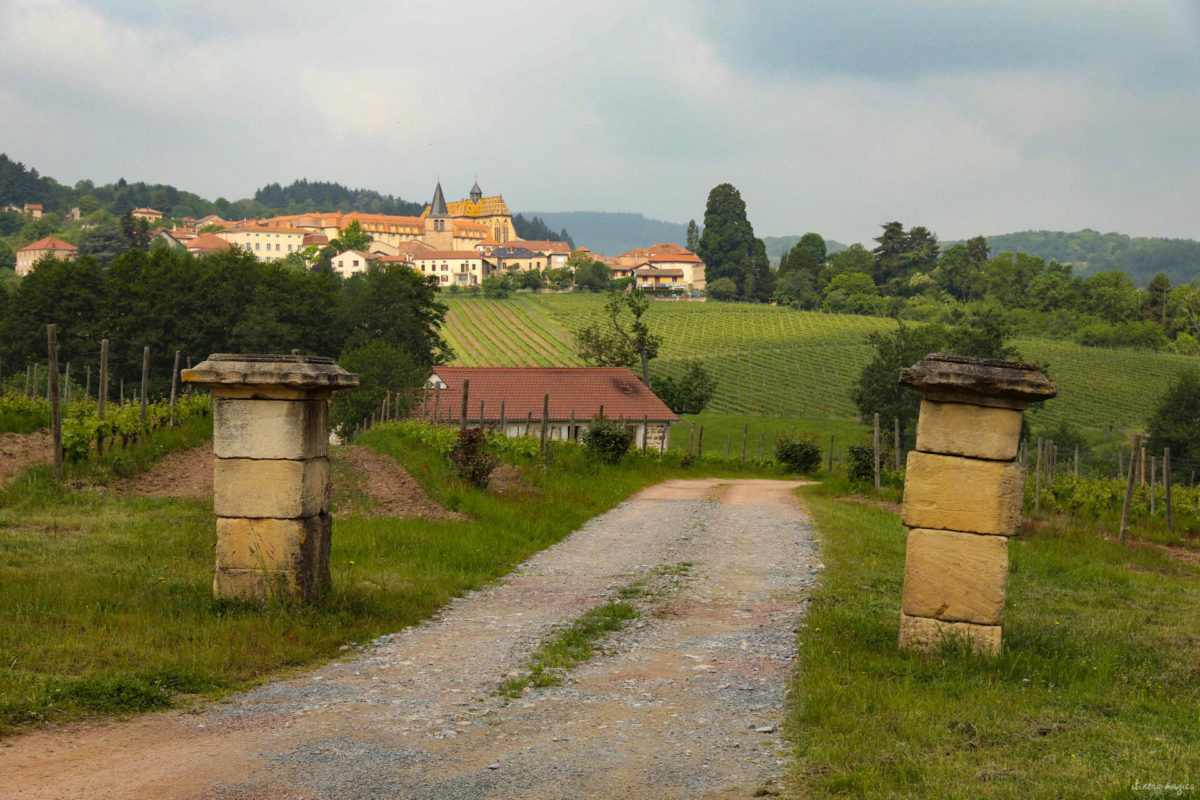 Que voir dans la Loire ? Châteaux des gorges de la Loire, randonnées en Forez, artisanat et spécialités de la Loire, villages de caractère.