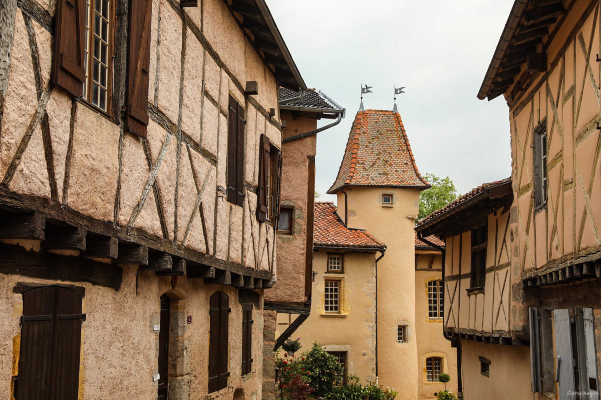 Que voir dans la Loire ? Châteaux des gorges de la Loire, randonnées en Forez, artisanat et spécialités de la Loire, villages de caractère.