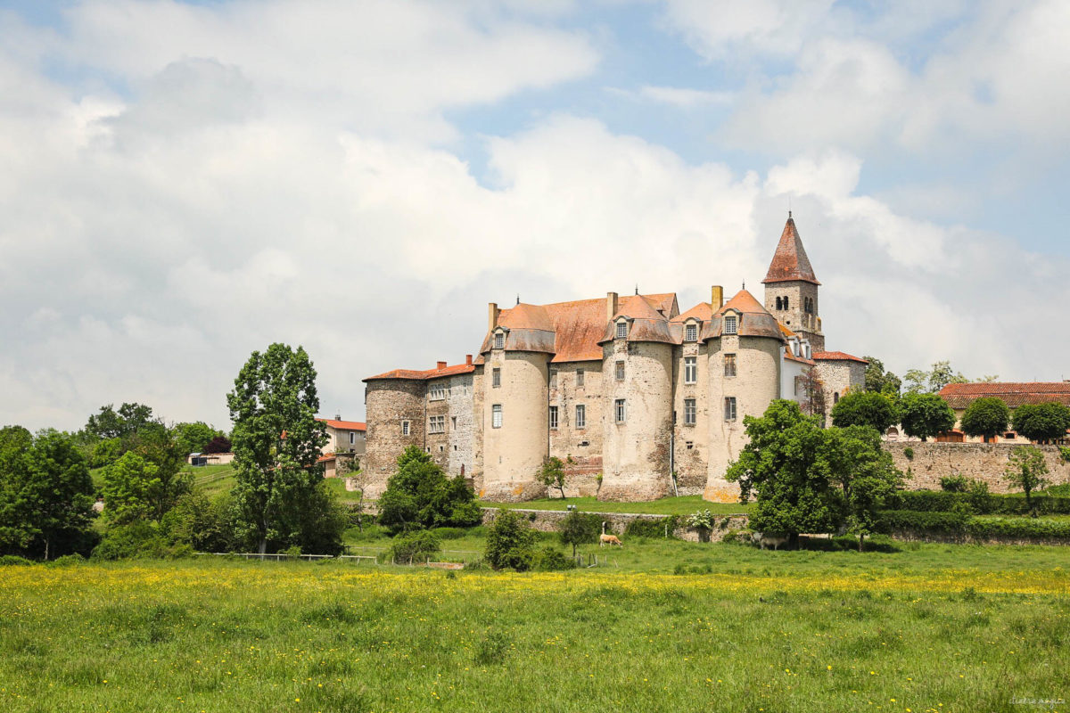 Que voir dans la Loire ? Châteaux des gorges de la Loire, randonnées en Forez, artisanat et spécialités de la Loire, villages de caractère.