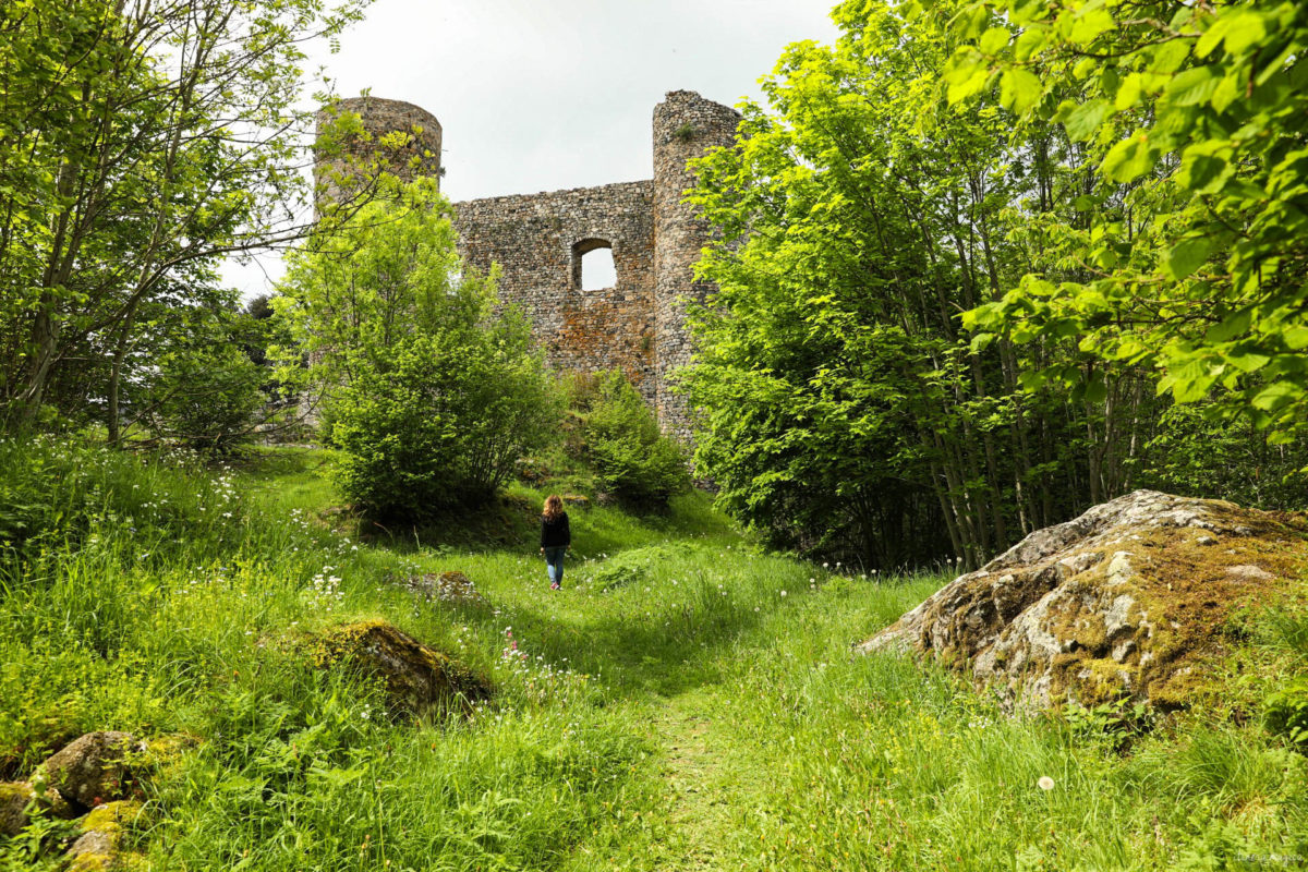 Que voir dans la Loire ? Châteaux des gorges de la Loire, randonnées en Forez, artisanat et spécialités de la Loire, villages de caractère.