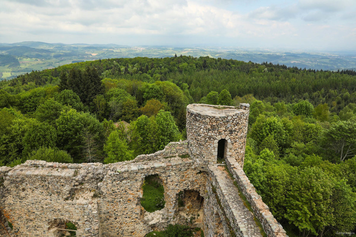 Que voir dans la Loire ? Châteaux des gorges de la Loire, randonnées en Forez, artisanat et spécialités de la Loire, villages de caractère.