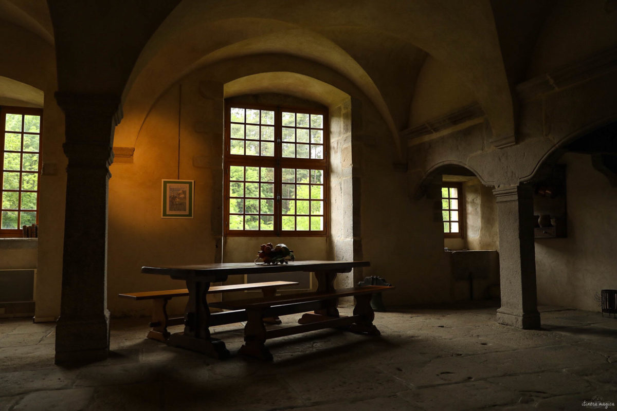 Que voir dans la Loire ? Châteaux des gorges de la Loire, randonnées en Forez, artisanat et spécialités de la Loire, villages de caractère.