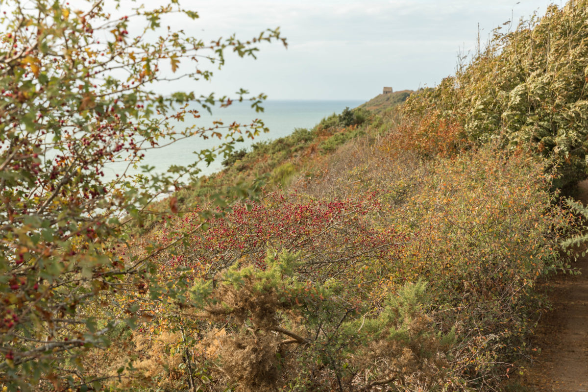 Des vacances dans la Manche, cela vous tente ? Tout pour visiter la Manche : le Cotentin, Barneville Carteret, le nez de Jobourg, la côte des Havres, Chausey. Que voir dans la Manche ?