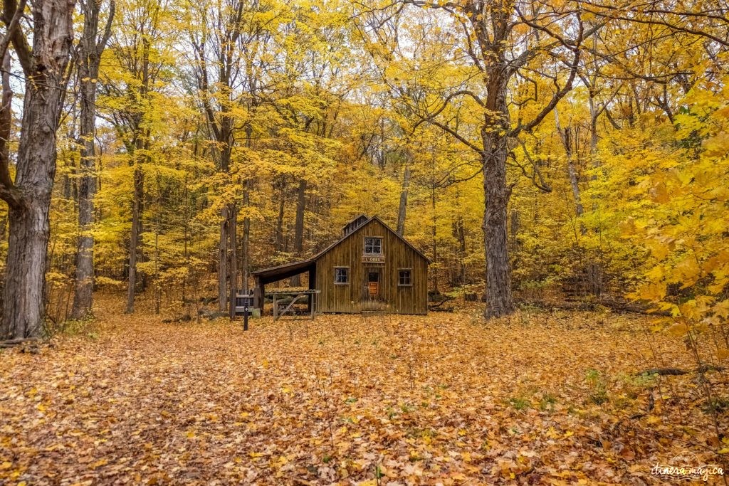 Où voir les couleurs d'automne, en Europe, au Japon, au Québec et ailleurs ? Les plus belles couleurs de l'automne par les blogueurs de voyage, pour des voyages chatoyants. #automne 