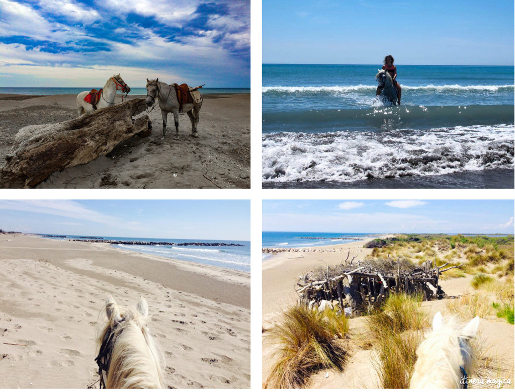 Que faire en Camargue ? Balades à cheval, bonnes adresses, incontournables, retrouvez tout sur le Camargue.