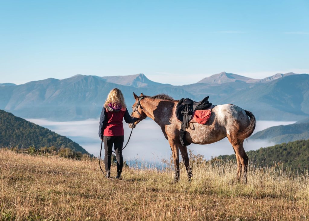 Les Alpes de Haute Provence à cheval : 3 jours de randonnée équestre dans la région de Digne-les-Bains, au coeur des Alpes du Sud