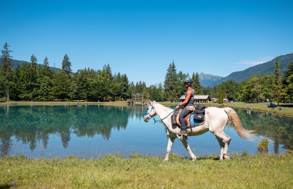 Randonnée équestre dans les montagnes du Giffre en Haute Savoie : jusqu'au cirque du Fer à Cheval à cheval. 
