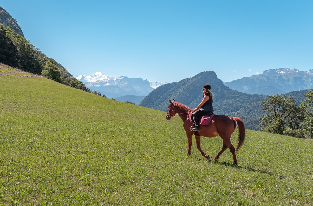 Randonnée équestre dans les montagnes du Giffre en Haute Savoie : jusqu'au cirque du Fer à Cheval à cheval. 