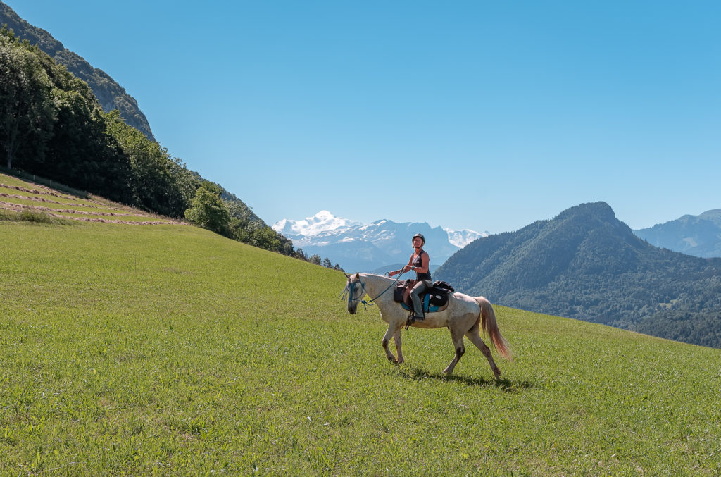 Randonnée équestre dans les montagnes du Giffre en Haute Savoie : jusqu'au cirque du Fer à Cheval à cheval. 